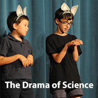 Program Picture